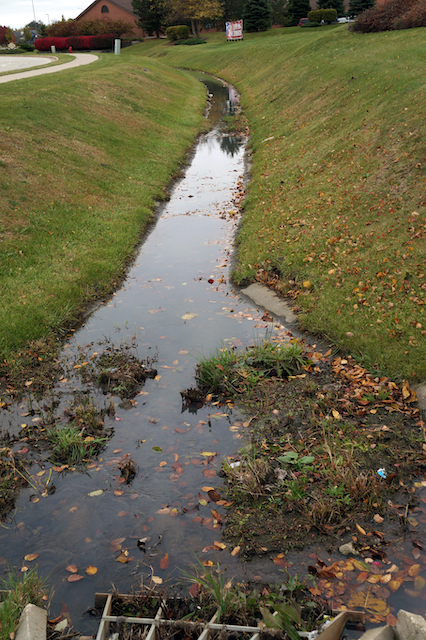 Everything to Know About French Drains and Why You Should Install One