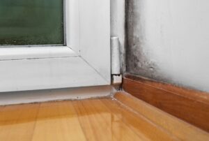 Tips on Preventing Mold Growth in Your Basement: Part Two