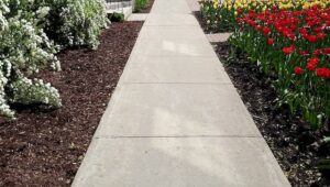 Make Plans To Repair Your Sidewalks This Summer