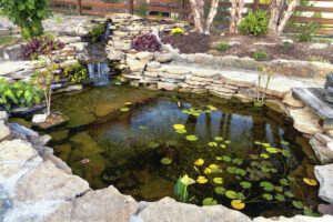 Improving Your Backyard Pond With Hardscaping